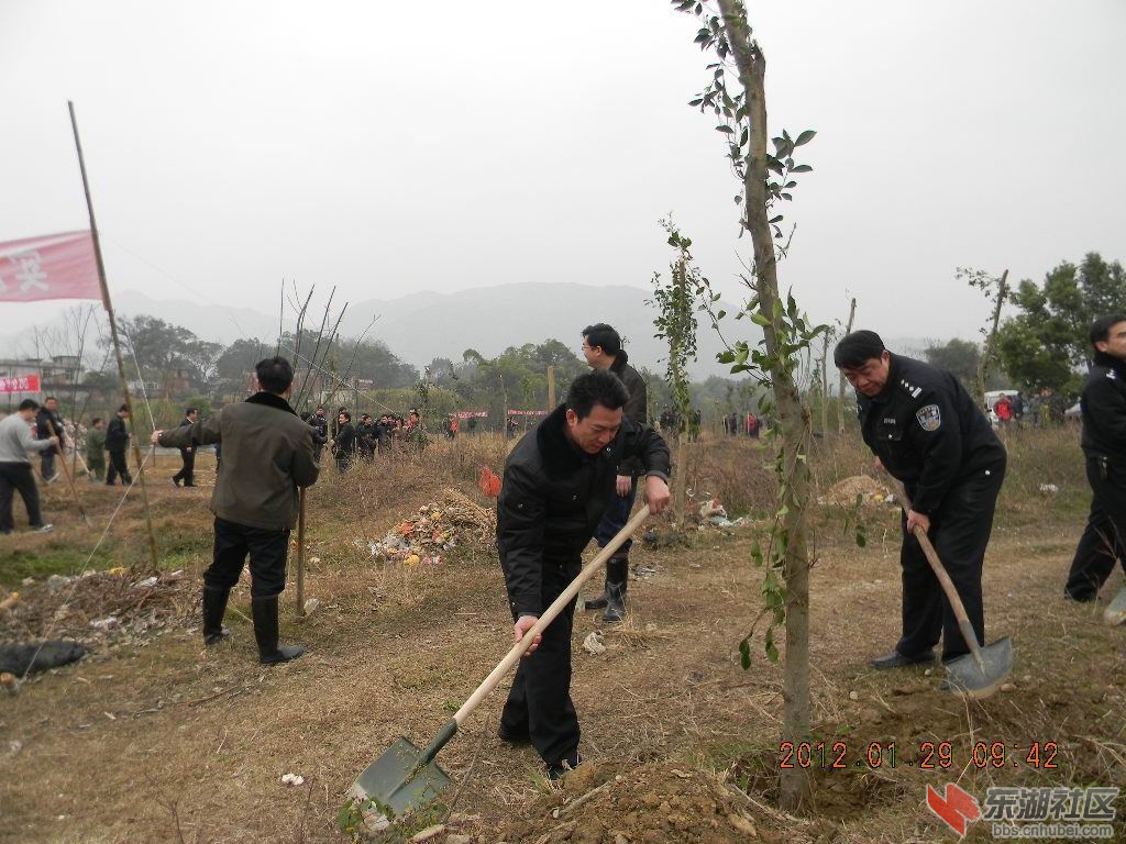 植树造林