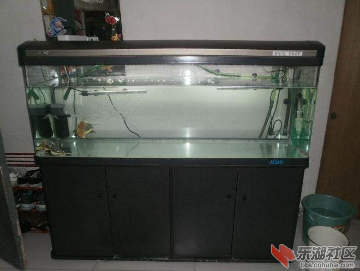 1480ceac3aa9486292e540d72bcbcff9.jpg
