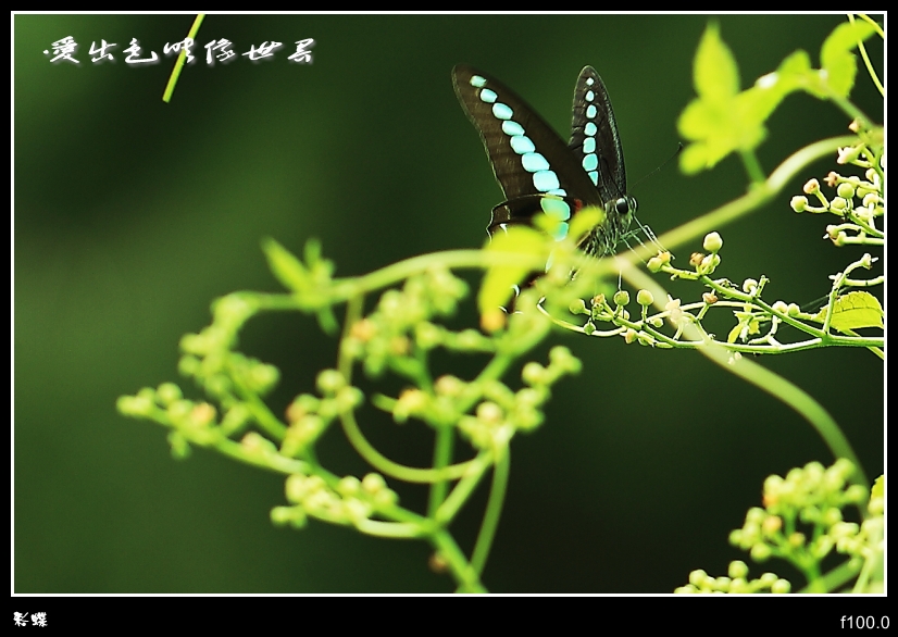 _MG_6081_副本_conew1.jpg