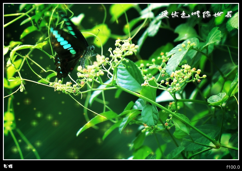 _MG_6080_副本_conew1.jpg