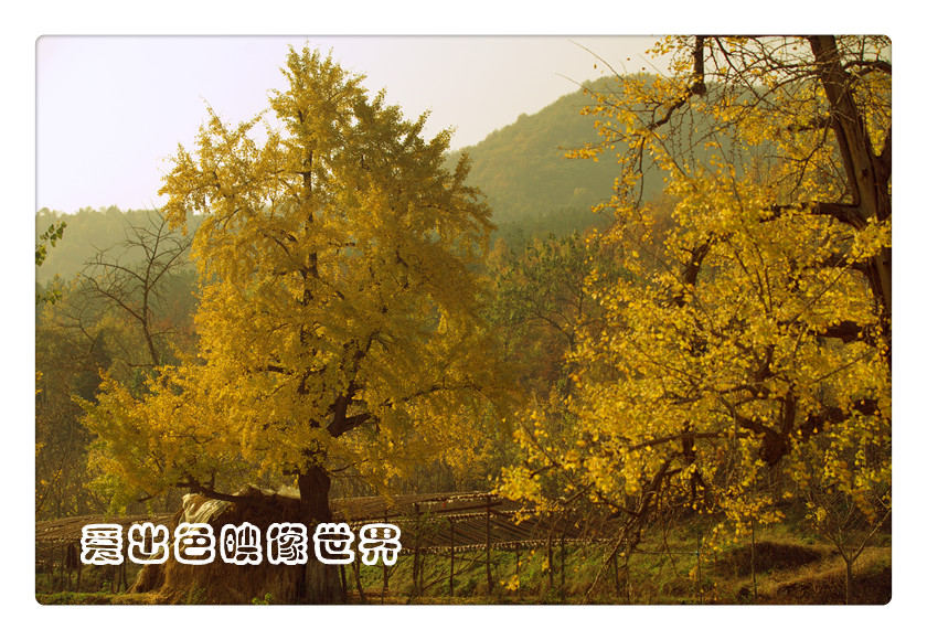 img_9237_副本.jpg