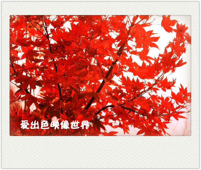 IMG_0214_副本.jpg