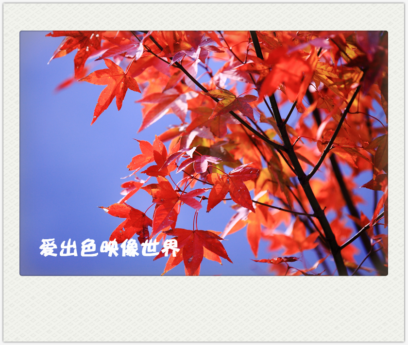 IMG_0218_副本.jpg