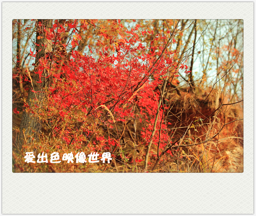 IMG_0228_副本.jpg