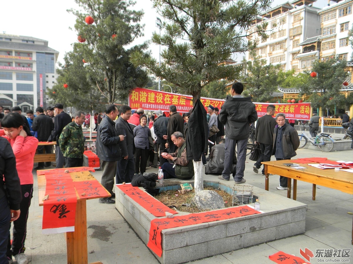 DSCN8266.JPG