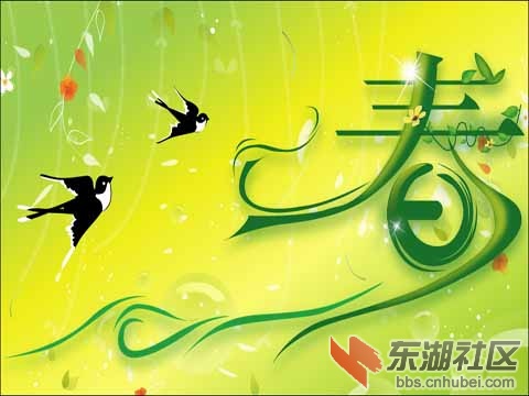 2010020410171126.jpg