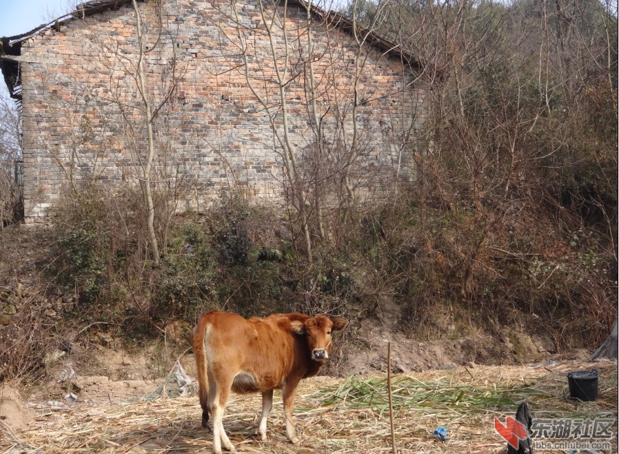 QQ截图20130203161817.jpg