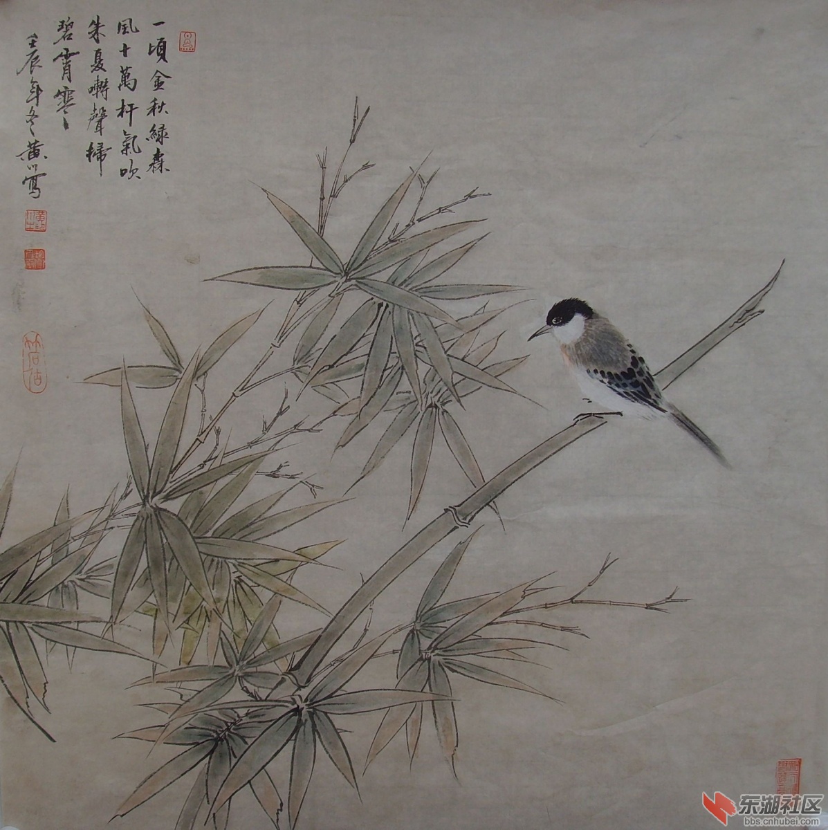 黄川花乌画
