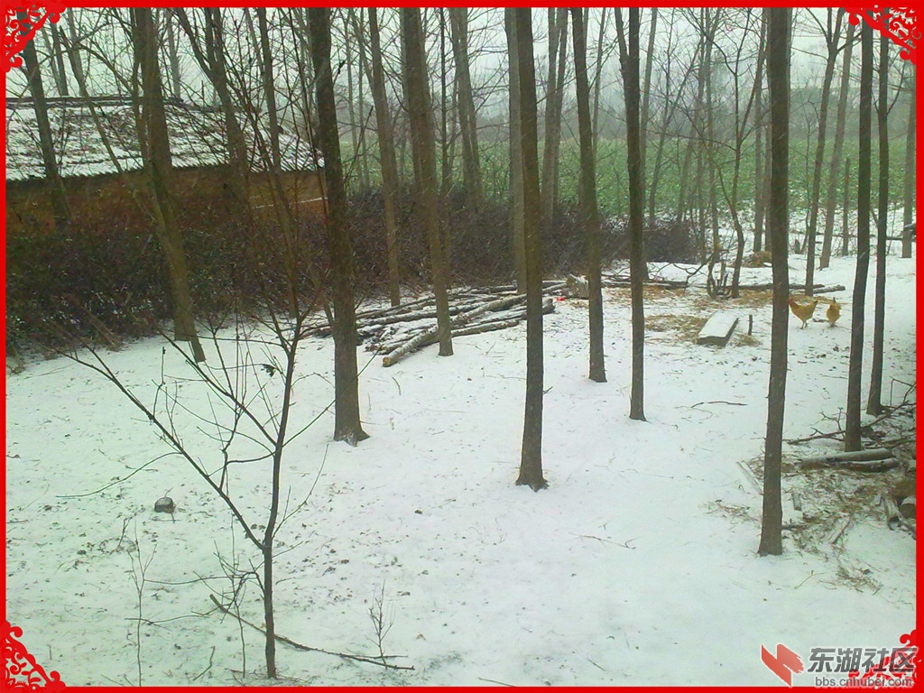 201302082220.jpg