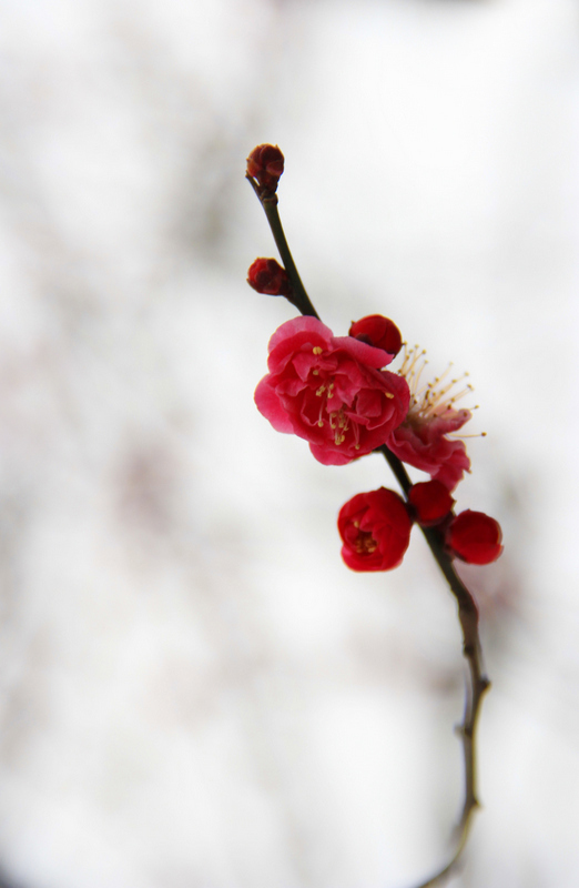 IMG_6670.JPG