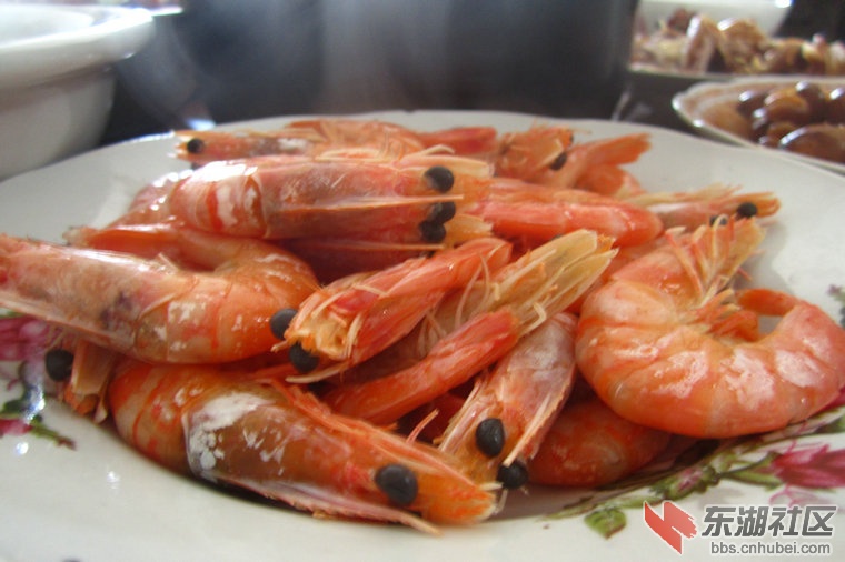 IMG_4044_副本.JPG