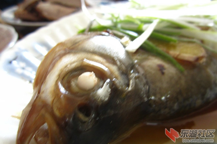 IMG_4048_副本.JPG