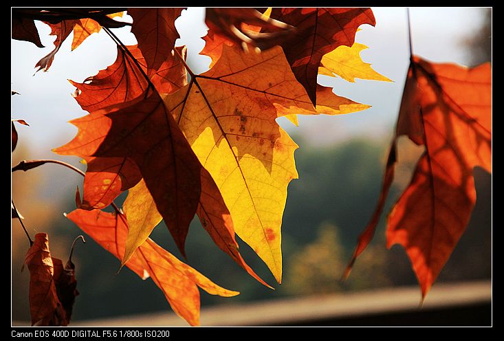 nEO_IMG_照片 034A.jpg
