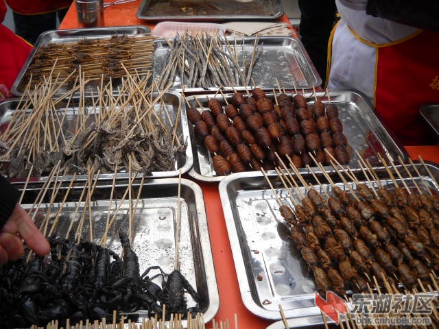 DSCN2757.JPG