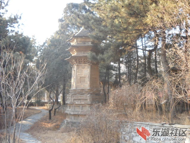 DSCN0239.JPG