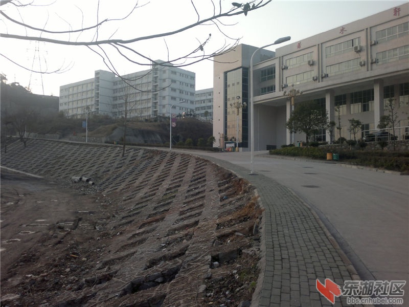2013-02-10-225.jpg
