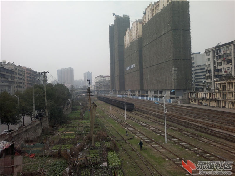 2013-02-11-240.jpg