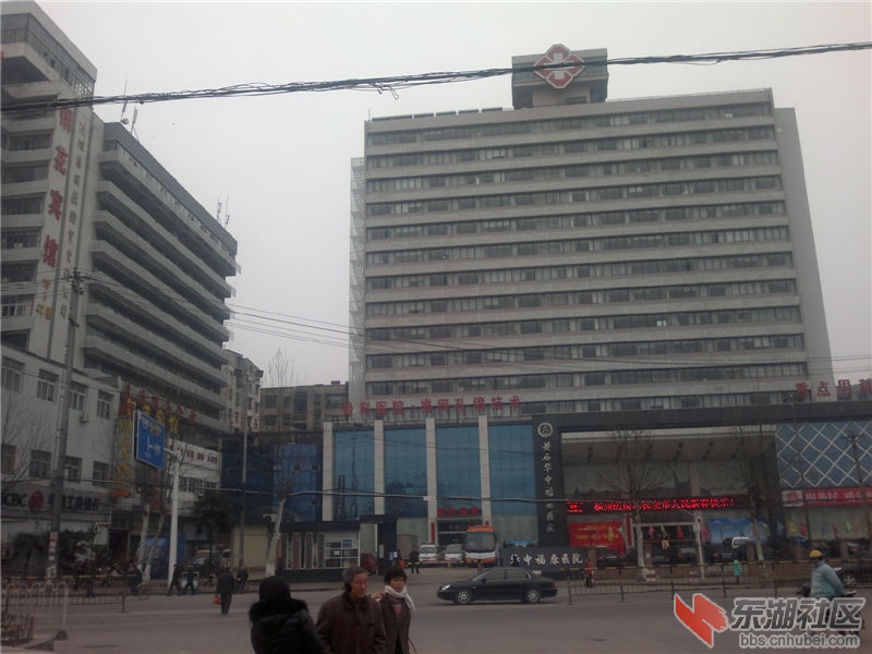 2013-02-11-250.jpg