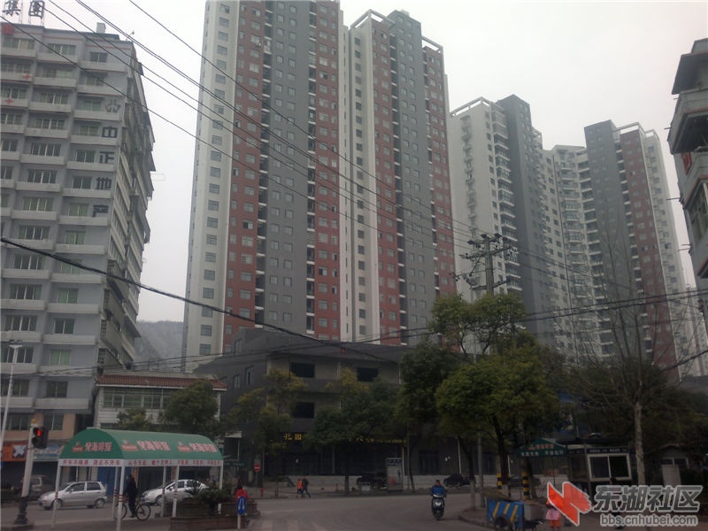 2013-02-11-249.jpg