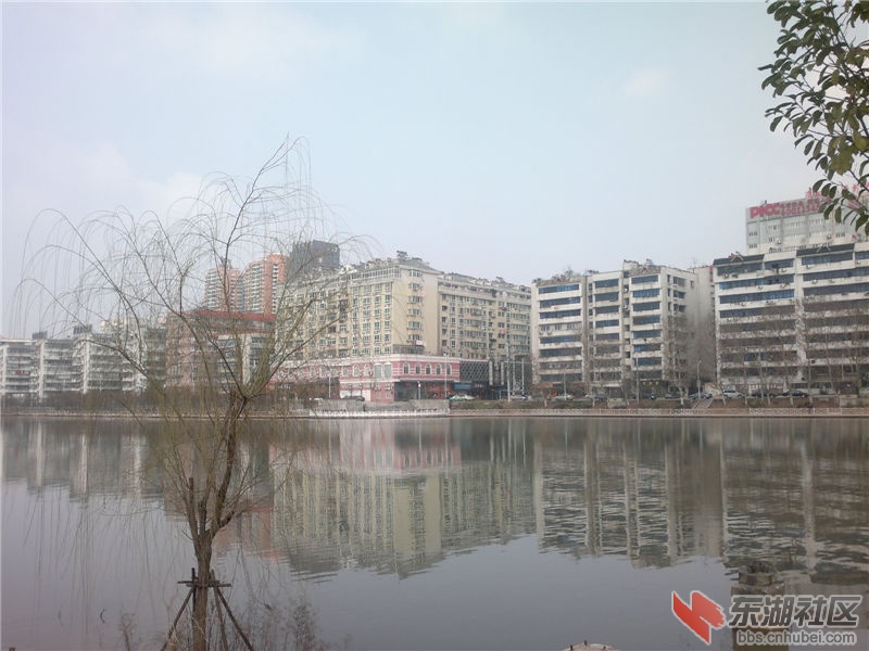 2013-02-12-276.jpg