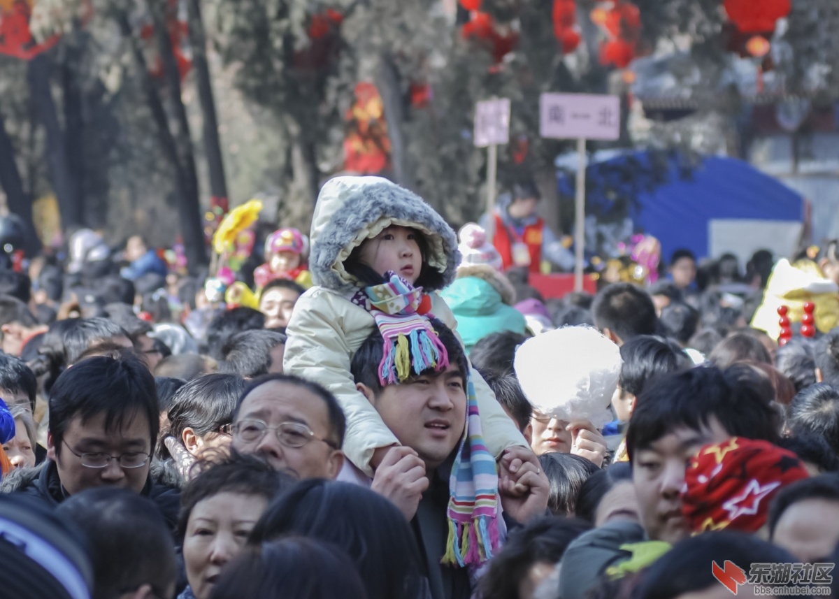 肩上明珠 3 .jpg
