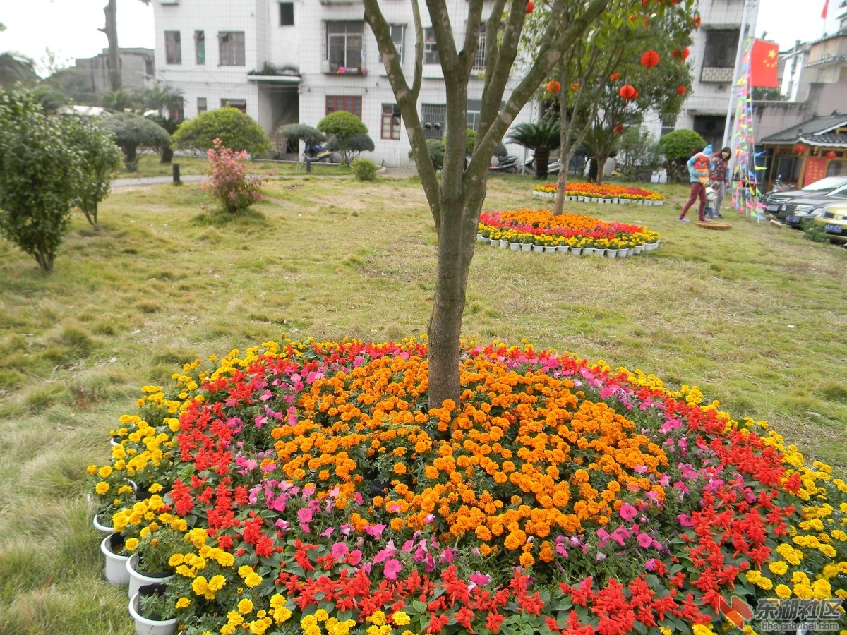 DSCN8054.JPG