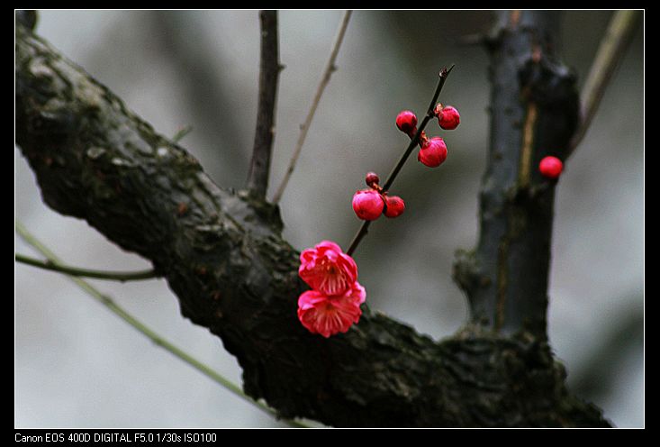 nEO_IMG_照片 032A.jpg