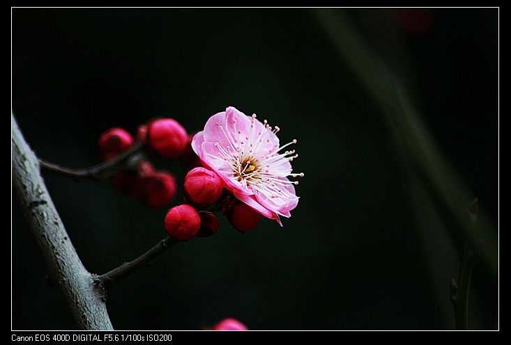 nEO_IMG_照片 046A.jpg