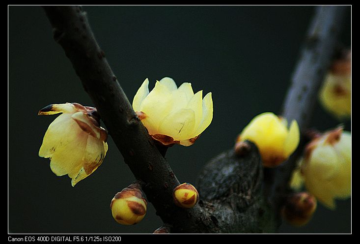 nEO_IMG_照片 050A.jpg