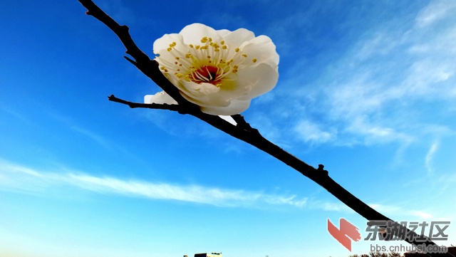 DSCF0724a.jpg