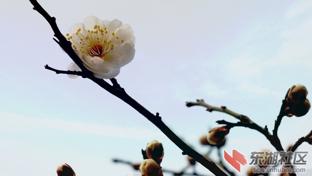 DSCF0724b_副本.jpg