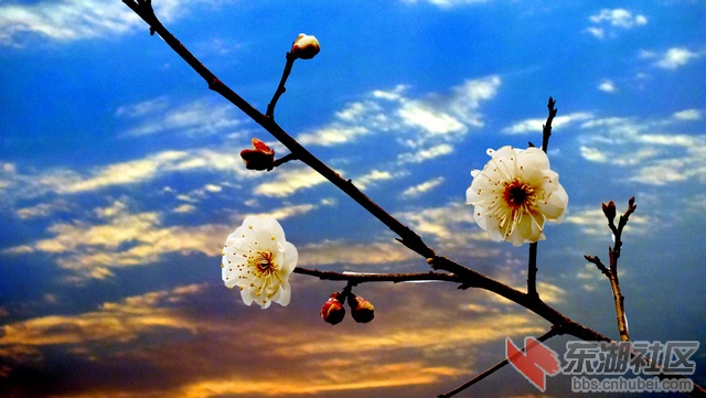 DSCF1054a_副本.jpg