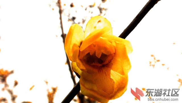 DSCF1005.jpg