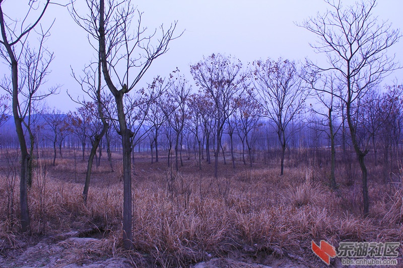 IMG_7662_副本.jpg