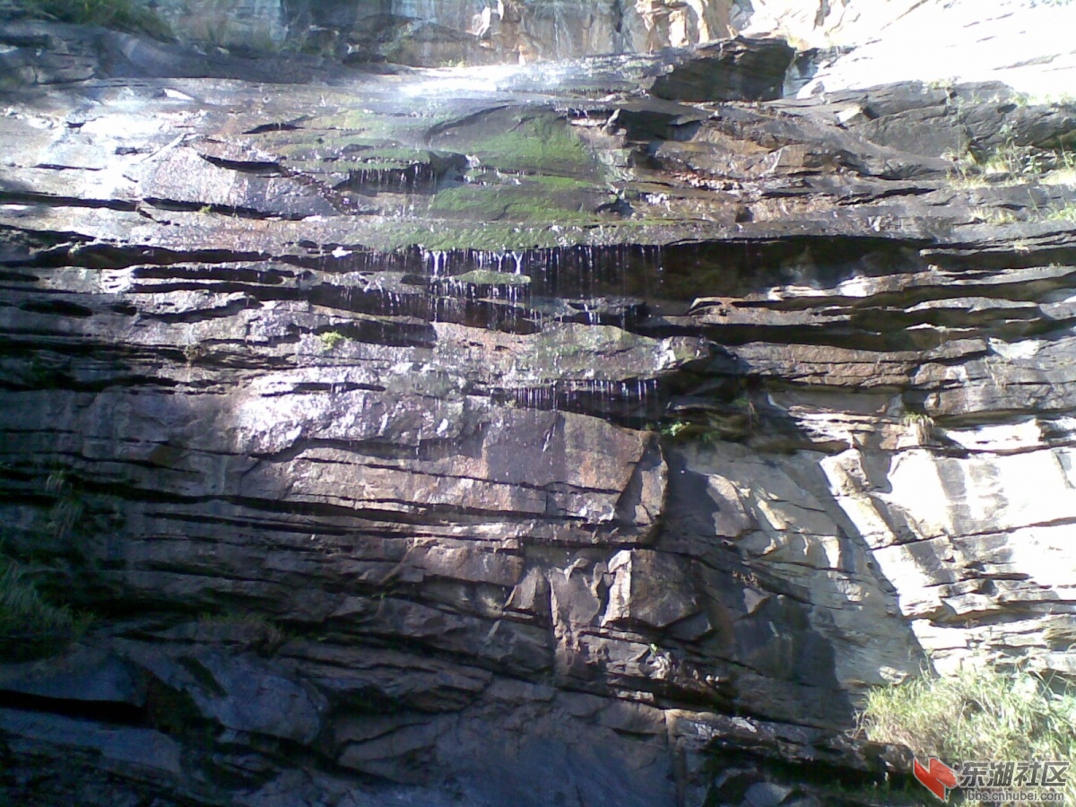 20120429(009).jpg