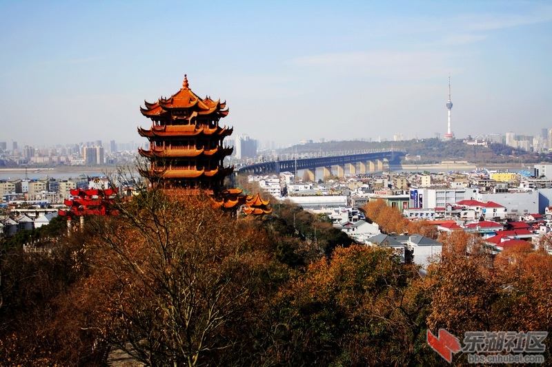 IMG_7702-0-1.jpg