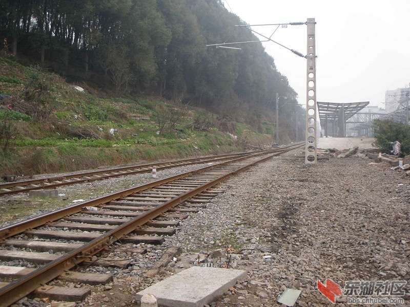 P2140108.JPG