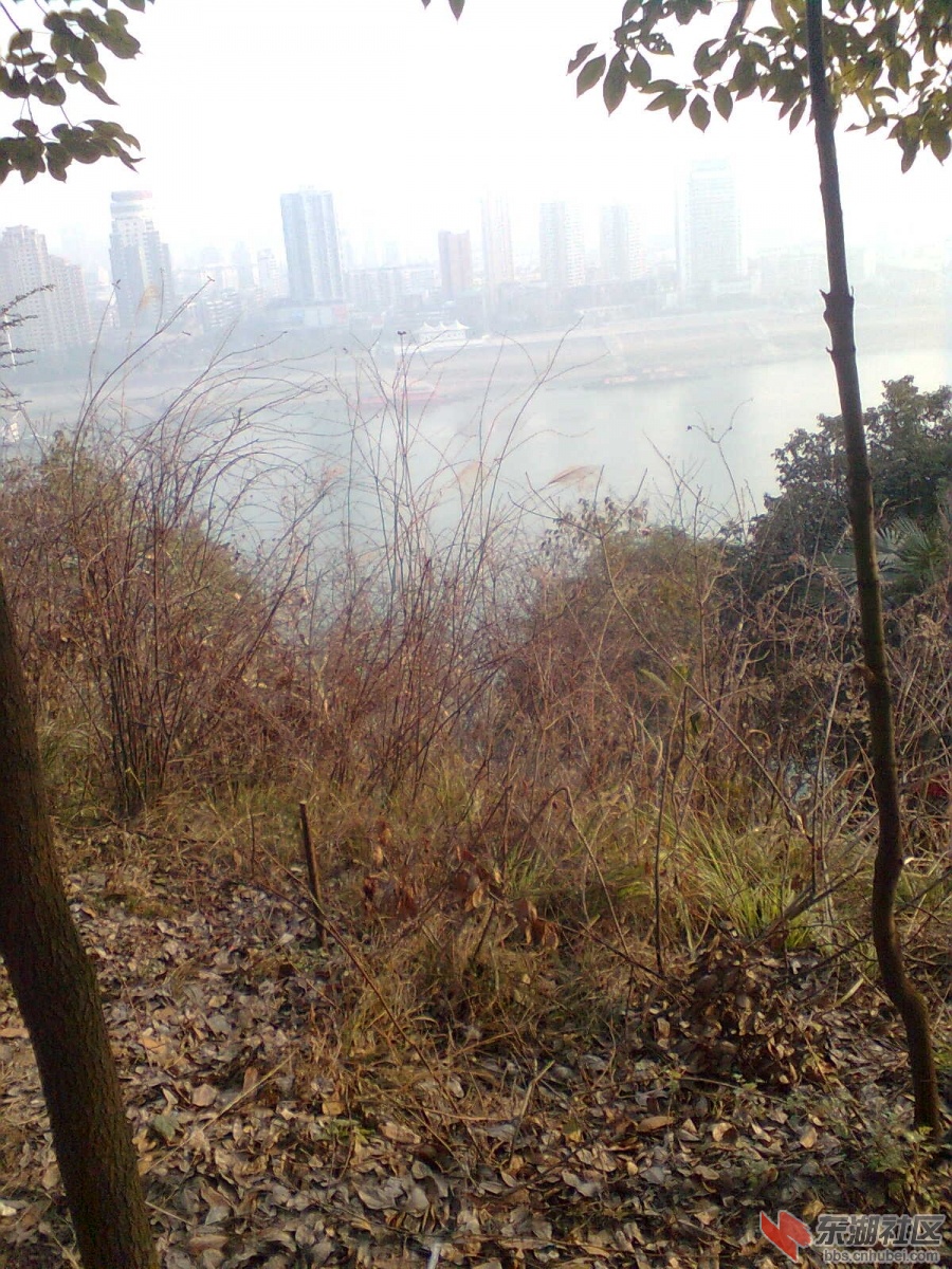 图像0768.jpg