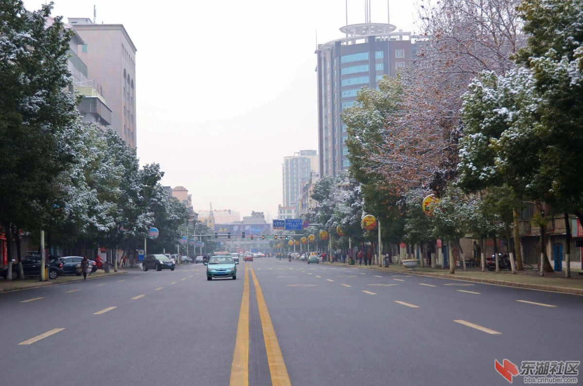 DSC_1676_副本.jpg