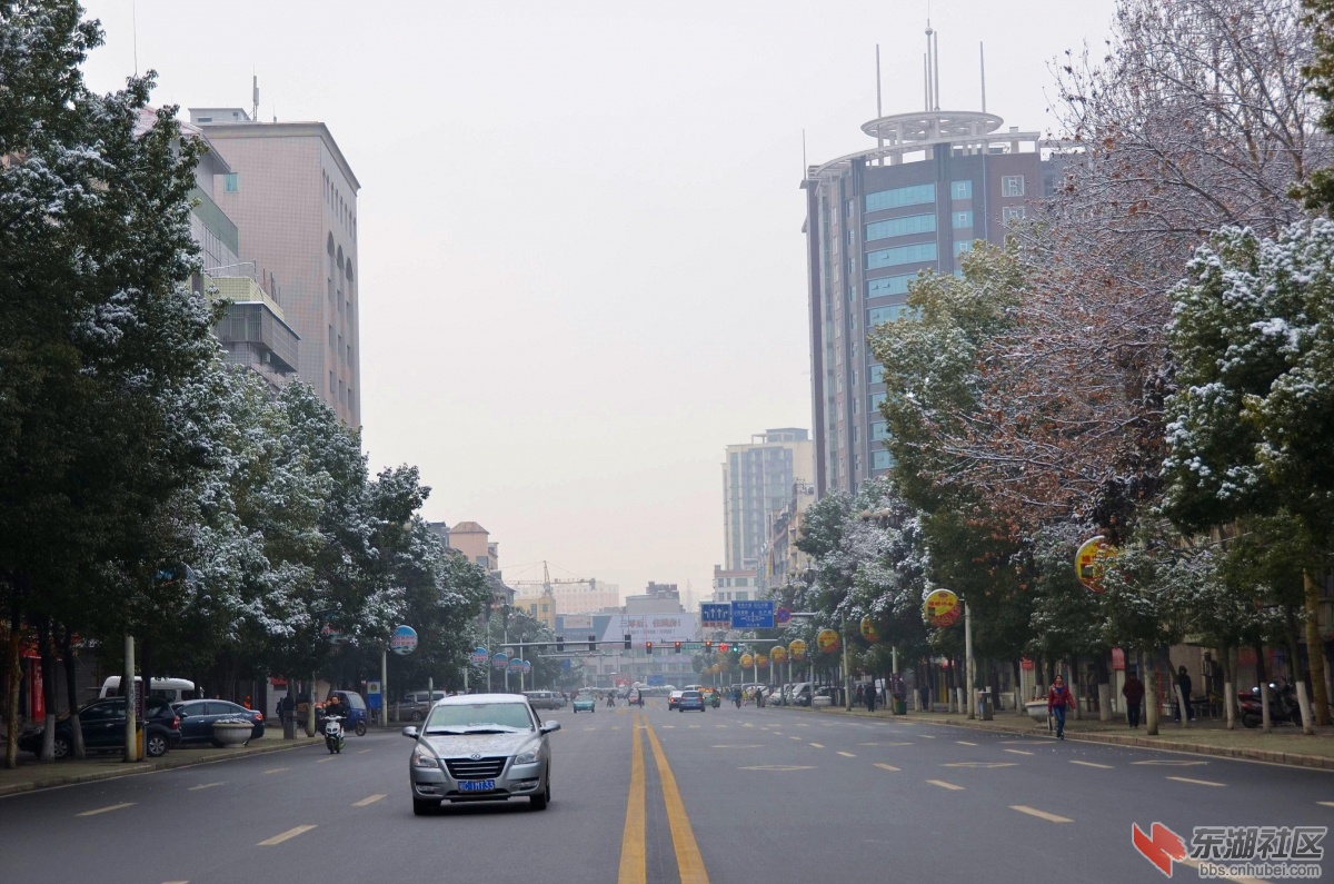 DSC_1678_副本.jpg