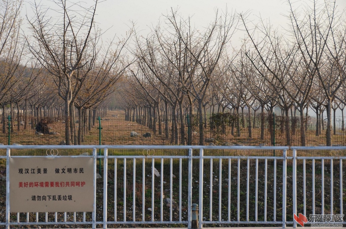 DSC_0688_副本.jpg
