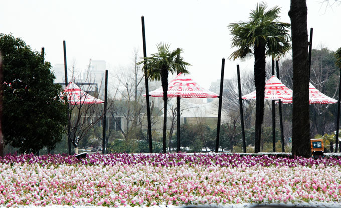 大宁雪景A.jpg