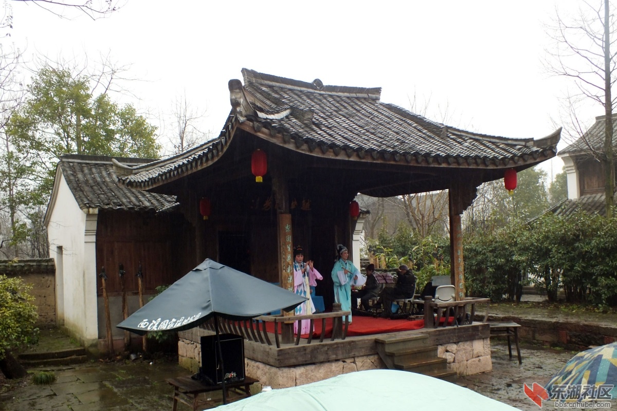 DSCF1629.jpg