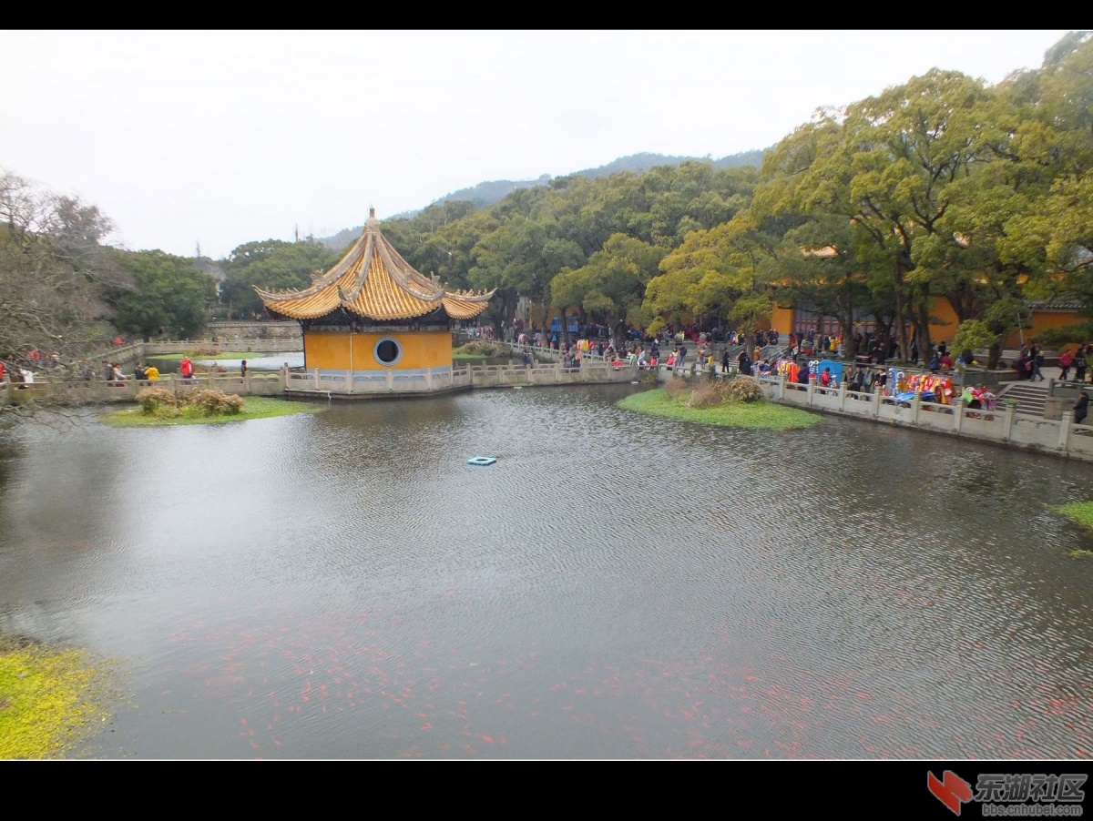 DSCF1741.jpg