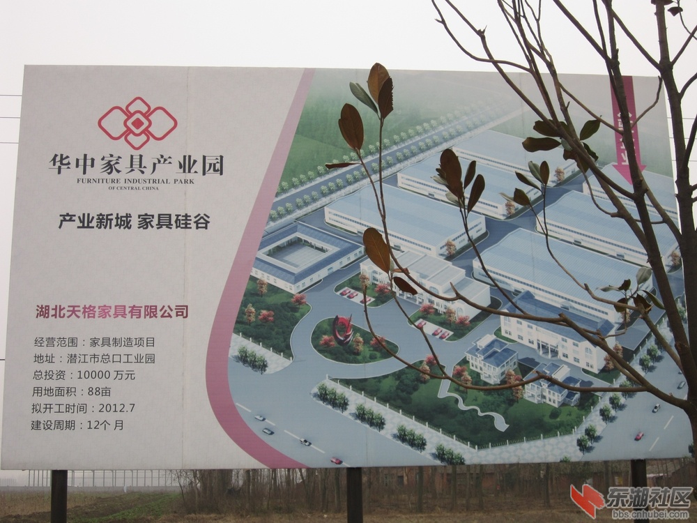 照片 012.jpg