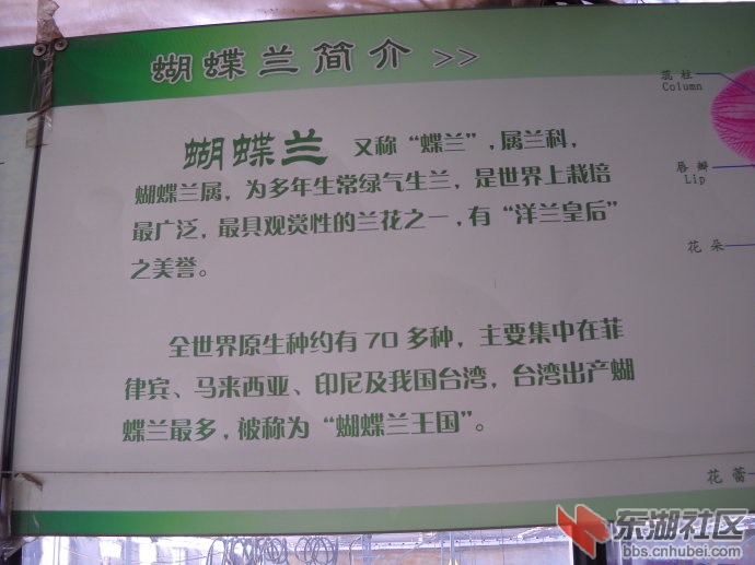 a0ca8335td632eea26767&690.jpg