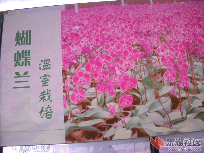 a0ca8335td632efa834e6&690.jpg