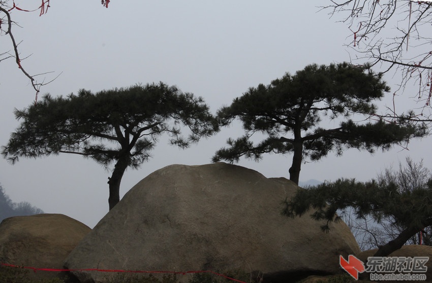 0武当山风景区琼台中观.jpg