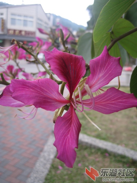 IMG_0299.JPG