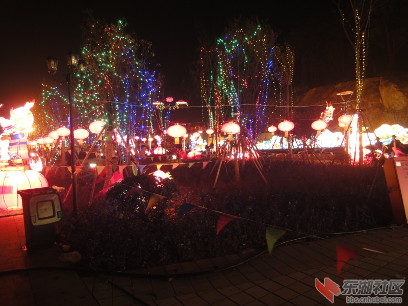 DSC09225.jpg